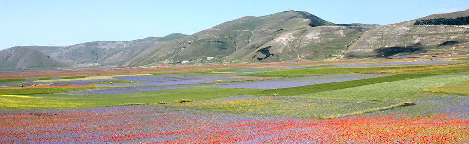 Castelluccio di Norcia