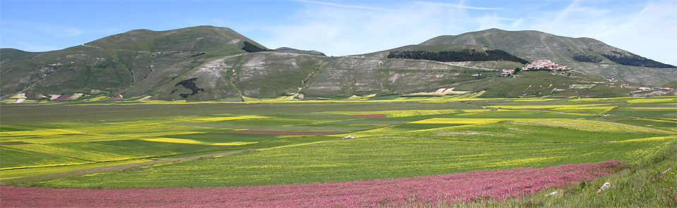 Shop online Castelluccio